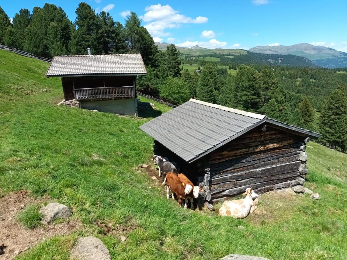 Hauserhof - Urlaub Auf Dem Bauernhof Villandro Exterior photo